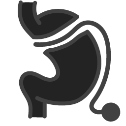 bariatric-Bandid
